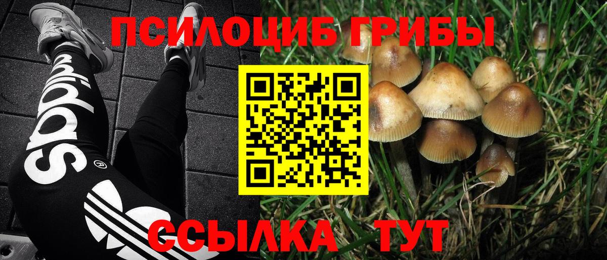 Астрахань  Галлюциногенные грибы Magic Shrooms  Вход с VPN  Галлюциногенные грибы Magic Shrooms 